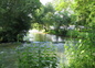 la charente