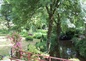 VUE SUR LE PARC