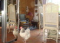 Poule de Luxe
