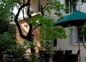 Mon Jardin en Ville