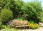 Un coin du jardin