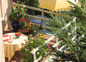 Une terrasse