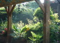 le jardin