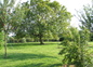 Notre parc