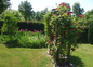 Le jardin