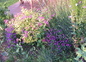 Jardin au printemps