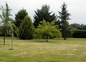 Le jardin, à l'arrière