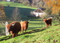 La ferme