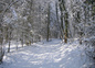 Balade hivernale autour de la ferme