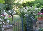 Terrasse au printemps
