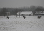 Aux Feuillantines sous la neige