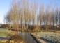 Couleurs d'automne