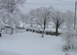 Le Boucharel Jardin en hiver