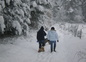 Livradois Foret hiver