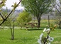 Le jardin