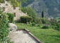 Le jardin