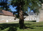 La maison