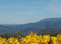 Vue sur Dent du Chat