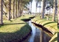 La rivière de marefontaine * la provence *