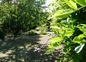 Le Jardin
