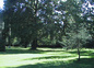 le parc