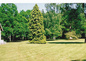 Parc
