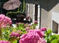 Petit Déjeuner sur terrasse