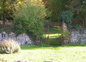 potager