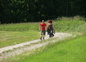 Promenade dans le Foret