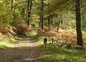 Valley de Senouire