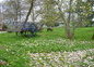 Une partie du parc