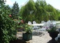 la terrasse