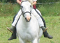 Galop avec notre poney