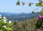 Paysage Est