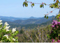 Paysage Est
