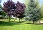 Parc jardin