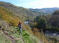 Paysage d'automne