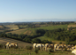 Vue du gîte