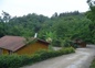 Vue sur forêt