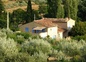 gîte vu depuis le champ d'oliviers