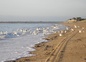 La plage d'Hauteville sur mer