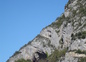Grotte de Niaux