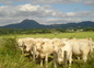 le village dans les volcans
