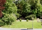 vue sur le parc