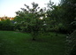 Le Parc