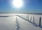 Pas  dans la neige