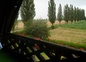 vue du balcon