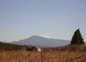 LE MONT VENTOUX VU DES GITES