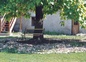 A l'ombre du catalpa