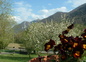 Vue depuis le gîte